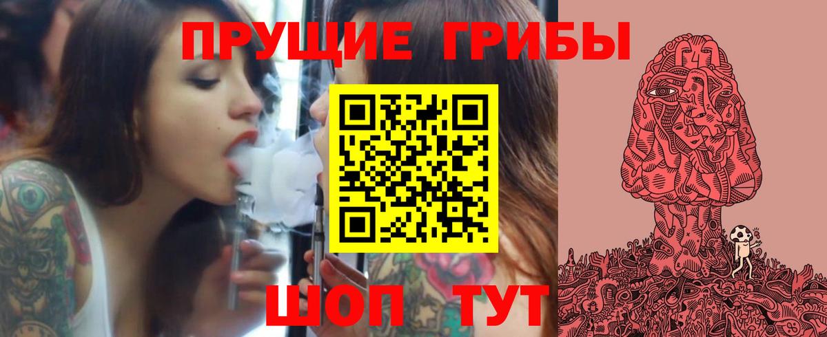 Псилоцибиновые грибы мицелий Армавир