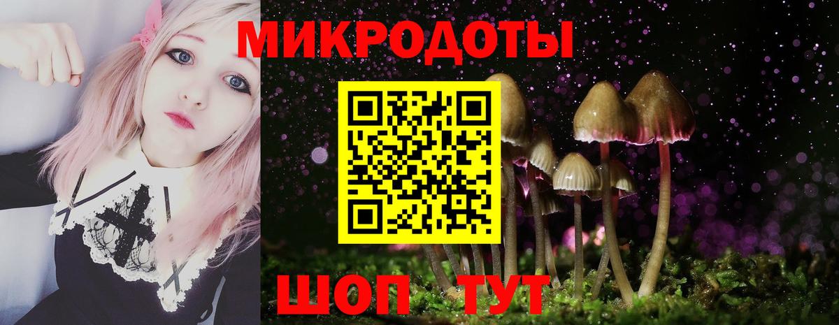 закладки  Галлюциногенные грибы мухоморы  Вход с VPN  Армавир 